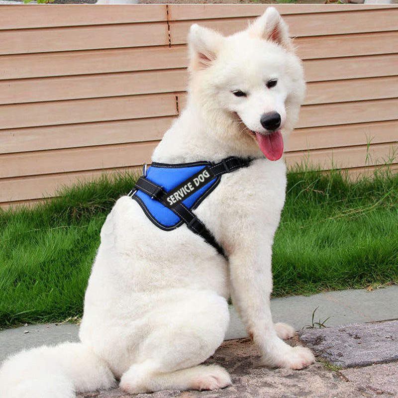 KFX-0474557 Adjustable Chest Strap for Dogs - Cloth Material, Available in Blue, Black, Red, Purple, Sizes S to XL
