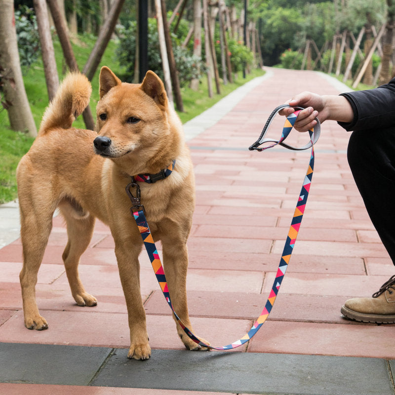 KFX-0475069 Durable Polyester Dog Leash with Zinc Alloy Fittings - Multiple Widths Available