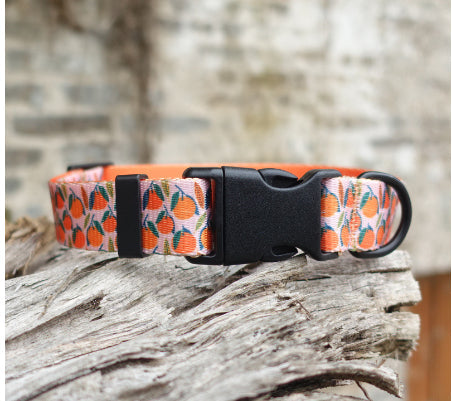 KFX-0477245 Flower Pattern Nylon Ribbon Pet Collar for All Seasons - Multiple Sizes Available