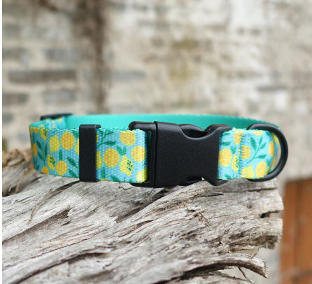 KFX-0477245 Flower Pattern Nylon Ribbon Pet Collar for All Seasons - Multiple Sizes Available