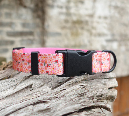 KFX-0477245 Flower Pattern Nylon Ribbon Pet Collar for All Seasons - Multiple Sizes Available
