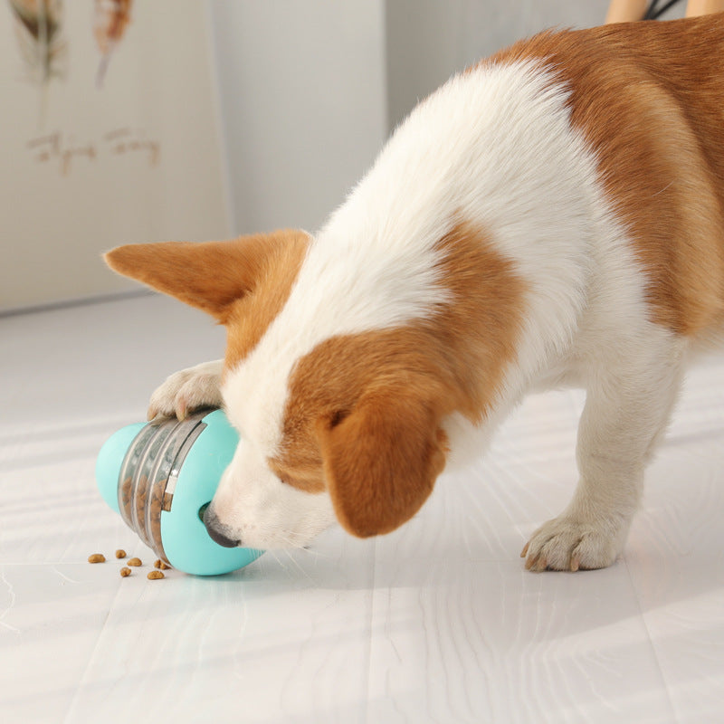 KFX-0481853 Pet Swing Ball Tumbler Toy for Dogs and Cats - Interactive Training Activity, Pink and Blue Colors, Durable ABS and PP Materials