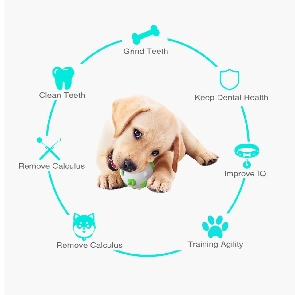 KFX-0482493 Interactive Dog Teething Chew Ball for Dental Cleaning and Stress Relief