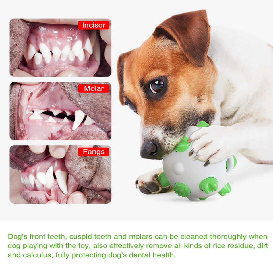 KFX-0482493 Interactive Dog Teething Chew Ball for Dental Cleaning and Stress Relief