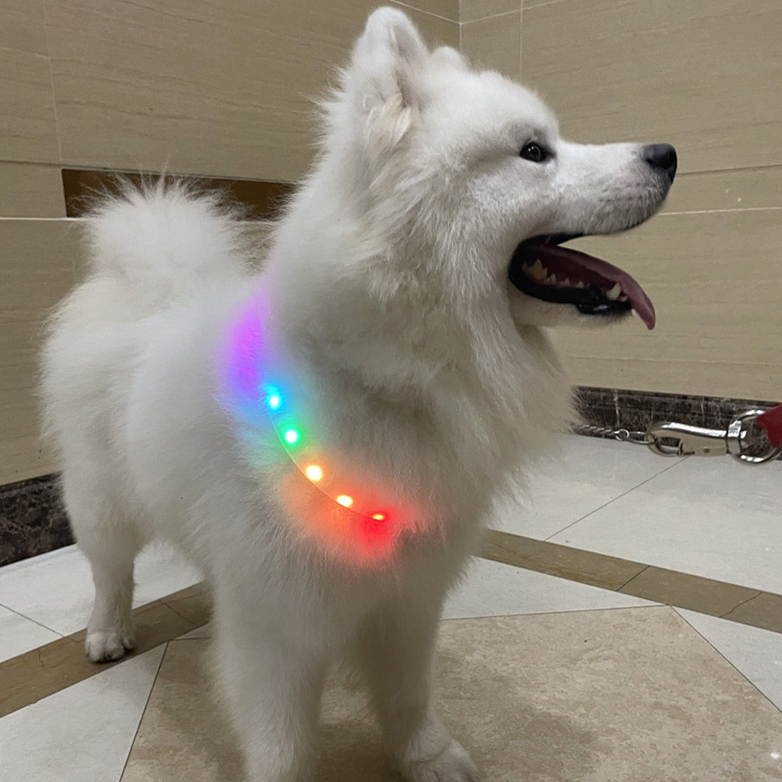 KFX-0483645 LED Pet Collar with Adjustable Fit and USB Charging for Nighttime Safety