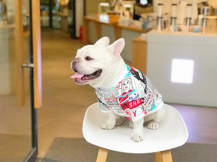 KFX-0486077 Cozy Cotton Sweater for Schnauzer, Shiba Inu, and Bichon - Chic White Design