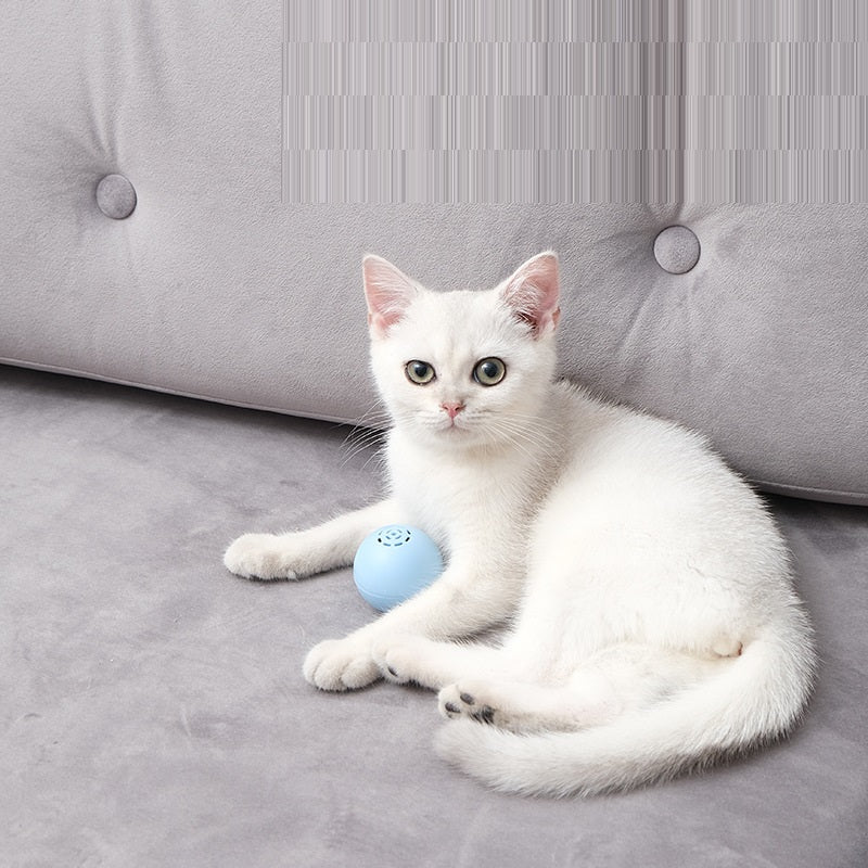 KFX-0488381 Self-Hi Music Ball Toy for Cats - Interactive Sound and Bites in Blue, Pink, and Green
