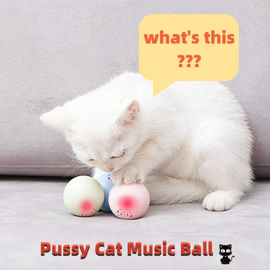 KFX-0488381 Self-Hi Music Ball Toy for Cats - Interactive Sound and Bites in Blue, Pink, and Green