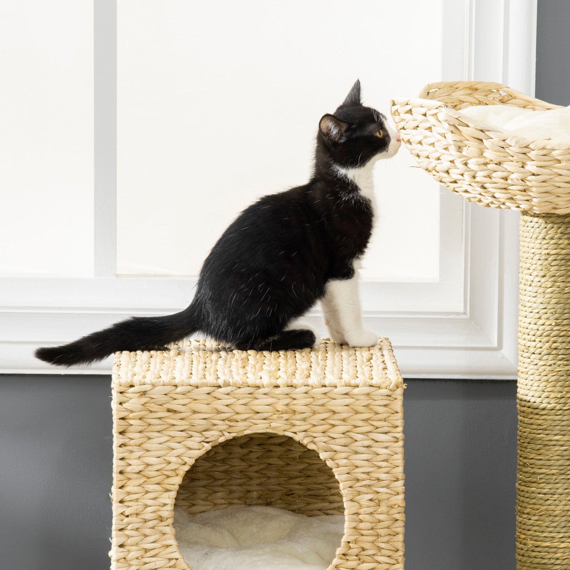 KFX-0490045 Multi-Level Cat Tree with Soft Beds, Condo, and Climbing Ladder for Indoor Cats
