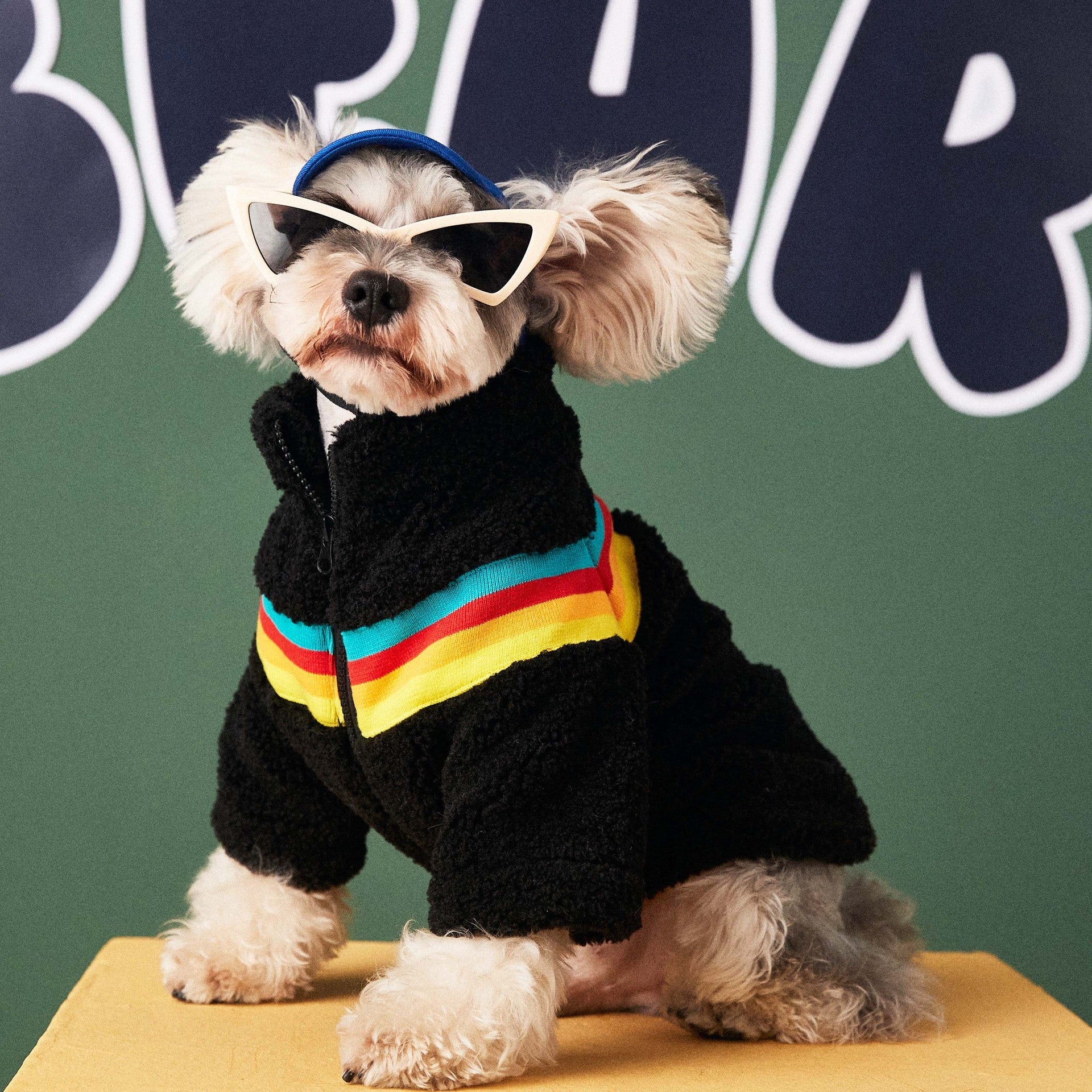 KFX-0494909 Colorful Striped Casual Lamb Wool Coat for Pets in Black and Beige