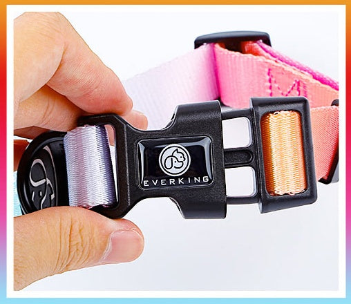 KFX-0501565 I Shaped Chest Strap Dog Collar and Leash Set in Various Colors