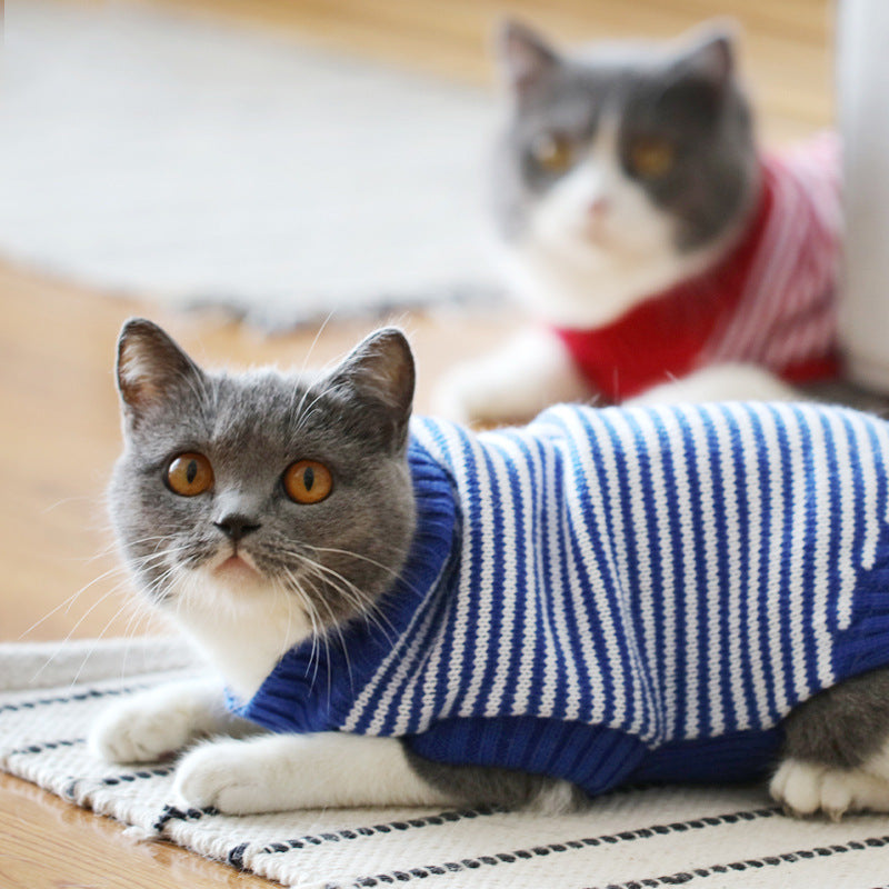 KFX-0506045 Cozy Blue Cat Sweater for Autumn and Winter, Bulky Acrylic, Various Sizes Available