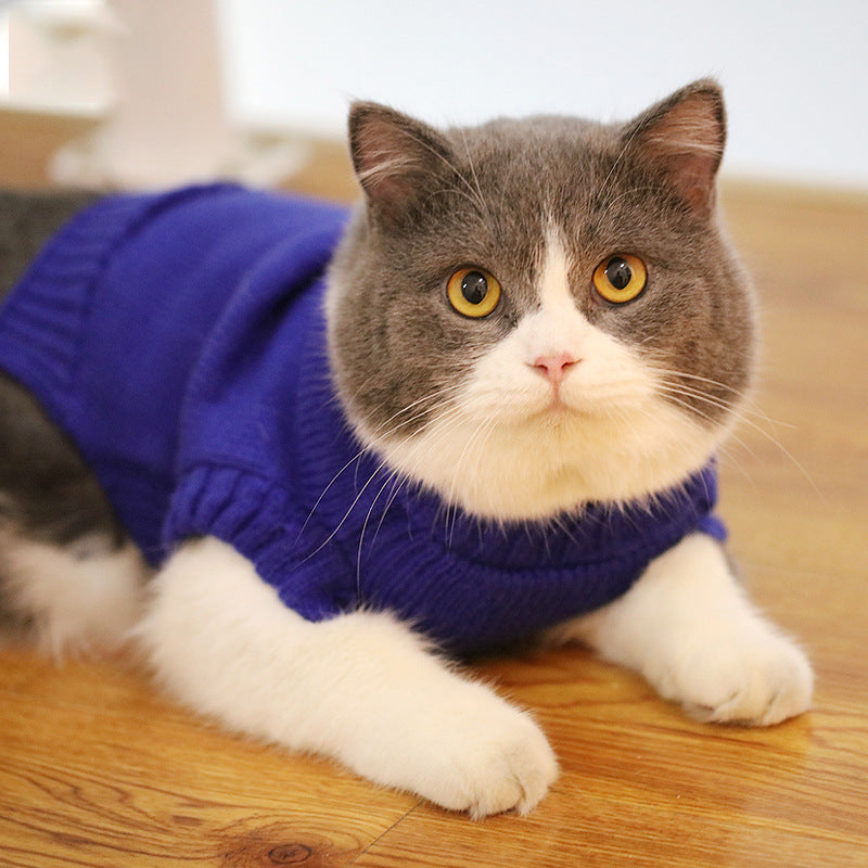 KFX-0506045 Cozy Blue Cat Sweater for Autumn and Winter, Bulky Acrylic, Various Sizes Available