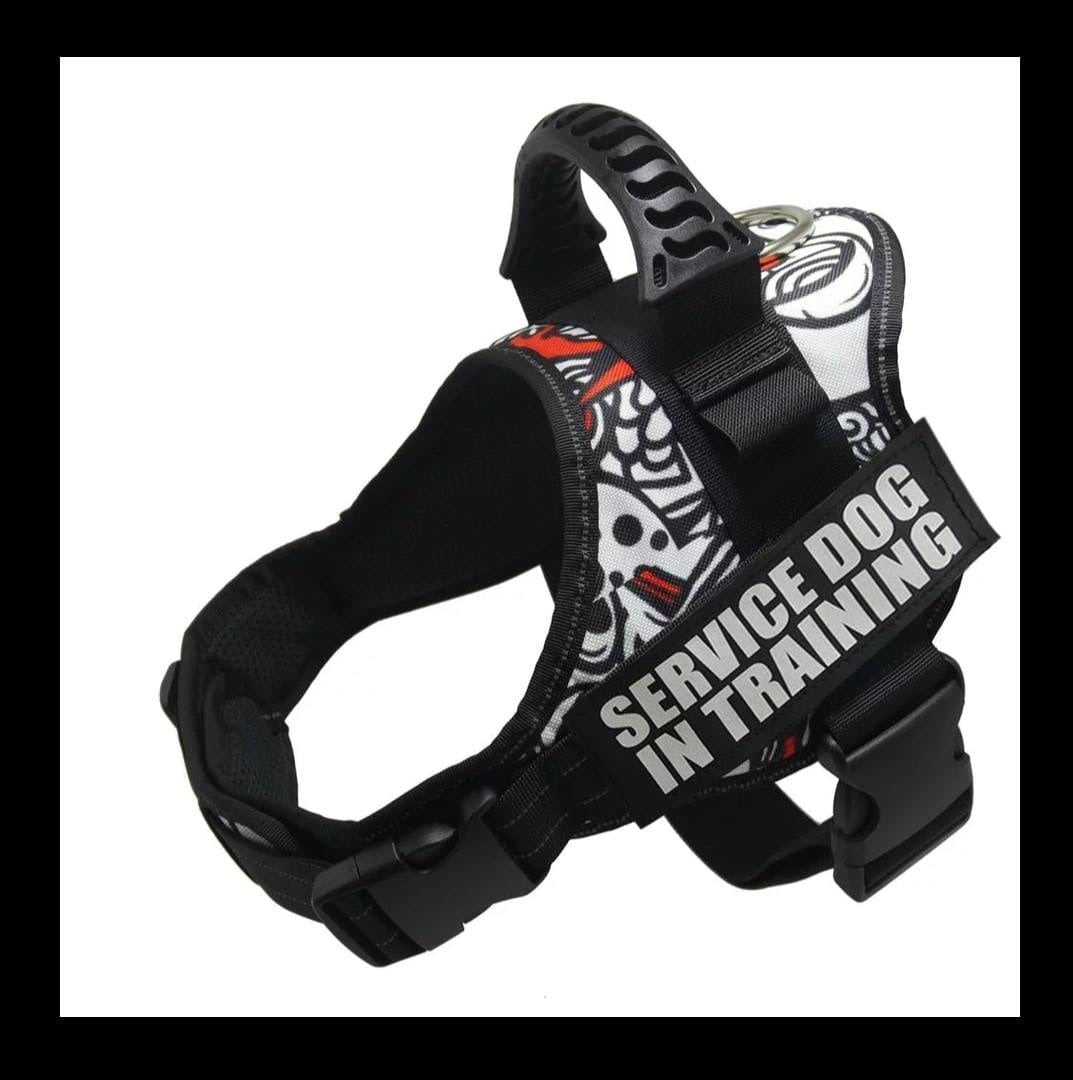 KFX-0507325 Explosion-Proof Nylon Chest Harness Leash for Pets - Breathable, Wear-Resistant with Locking Buckle