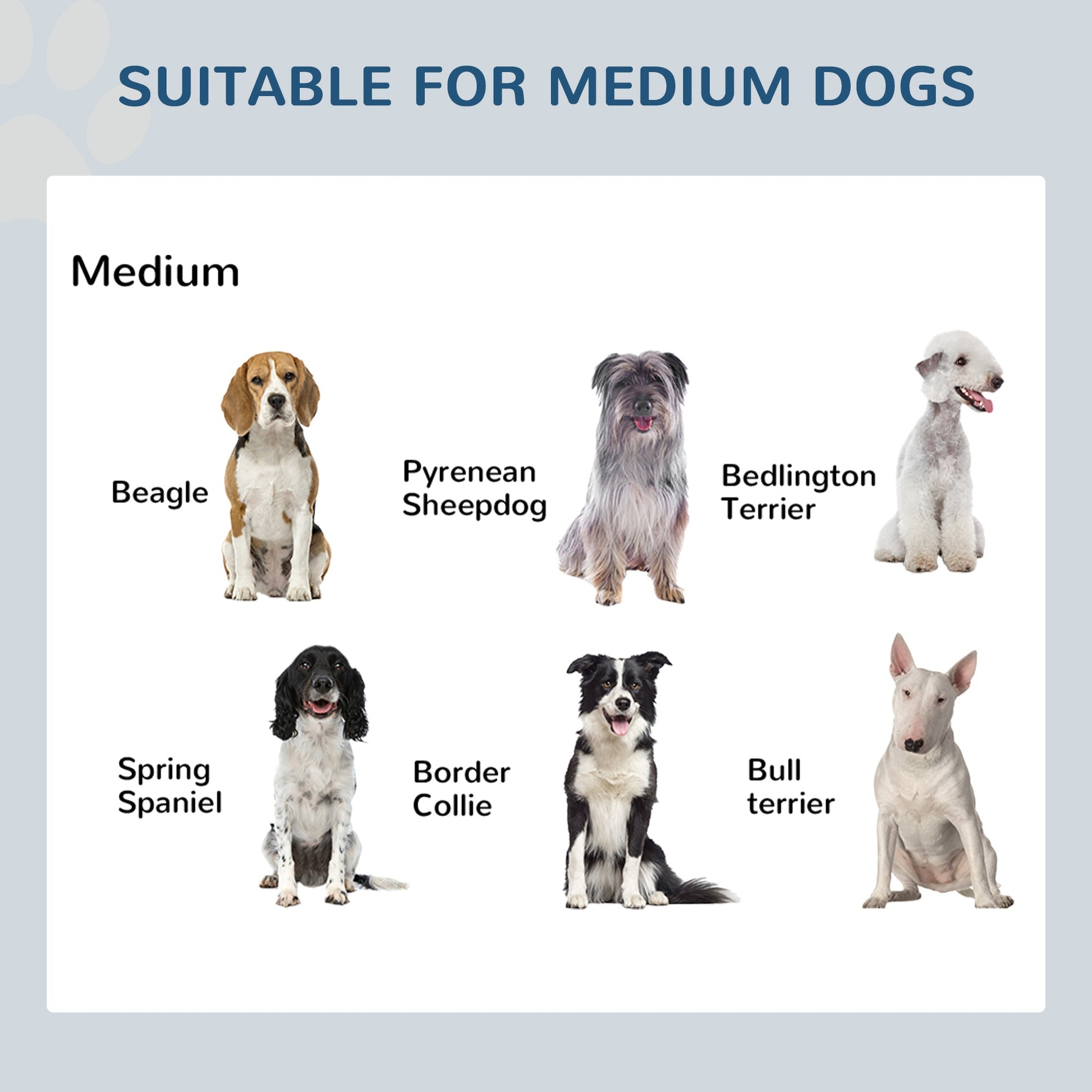 KFX-0508221 Elevated Double Stainless Steel Dog Food Bowl Feeding Station with Non-Slip Metal Base
