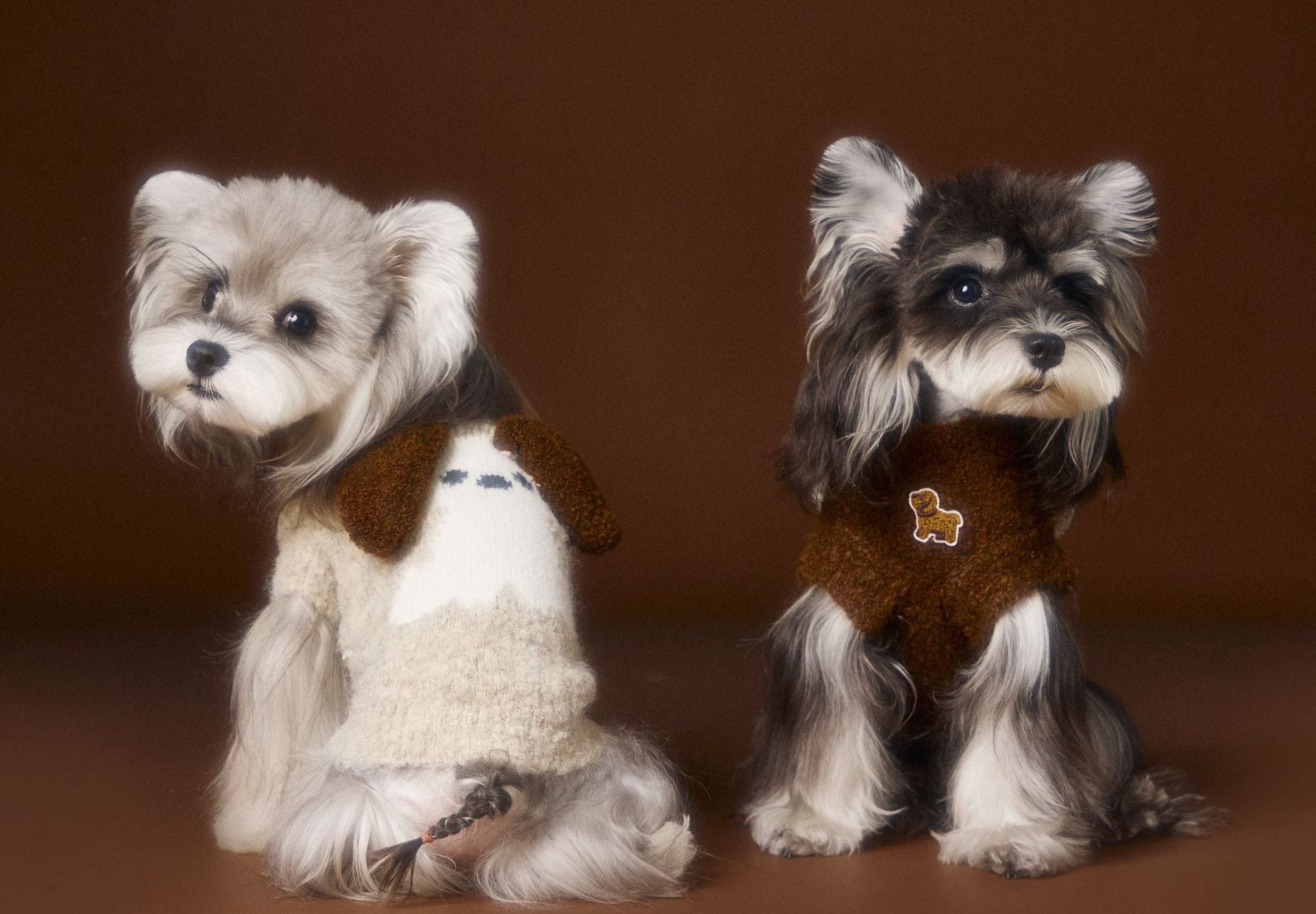 KFX-0512573 Sleeveless Three-Dimensional Ear Sweater Vest for Small Dogs in Beige and Coffee Colors