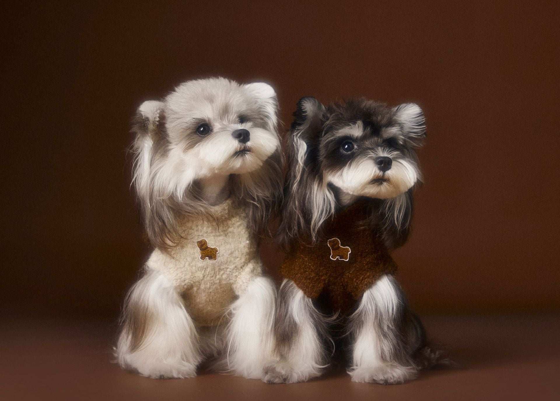 KFX-0512573 Sleeveless Three-Dimensional Ear Sweater Vest for Small Dogs in Beige and Coffee Colors
