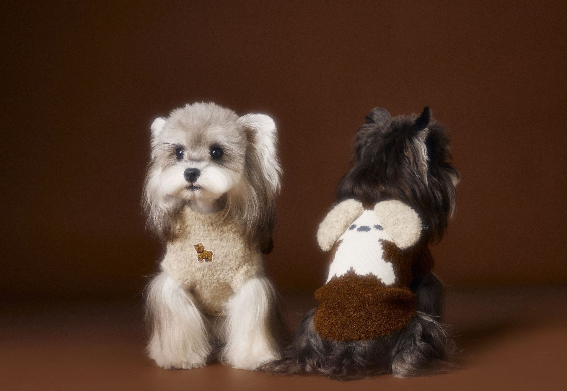KFX-0512573 Sleeveless Three-Dimensional Ear Sweater Vest for Small Dogs in Beige and Coffee Colors
