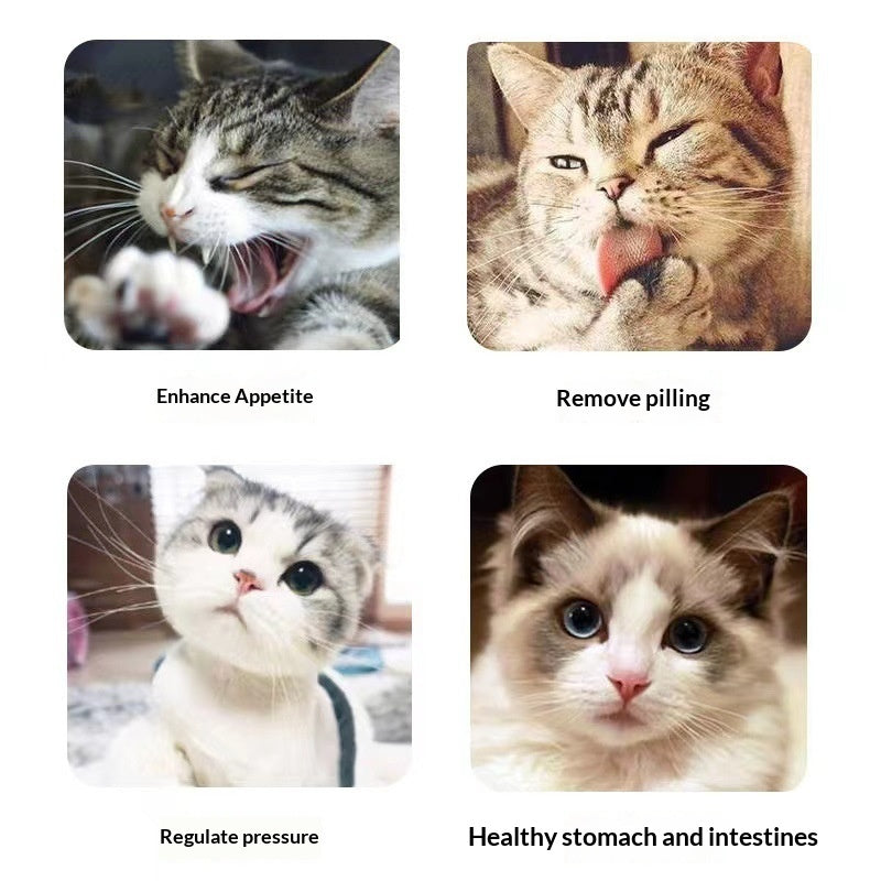 KFX-0519613 Catnip Mint Powder for Hairball Relief and Oral Hygiene for Cats - 1g Bag