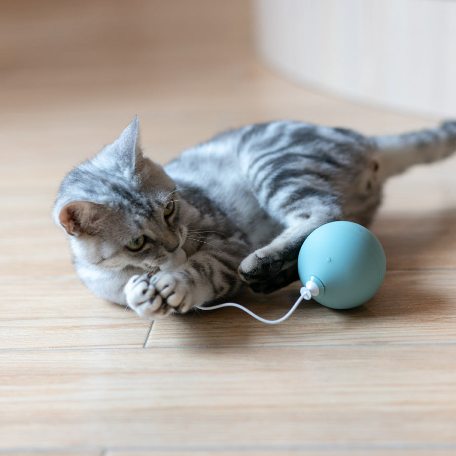 KFX-0520381 Electric Cat Toy with Automatic Shut-off - Fun Interactive Play for Cats