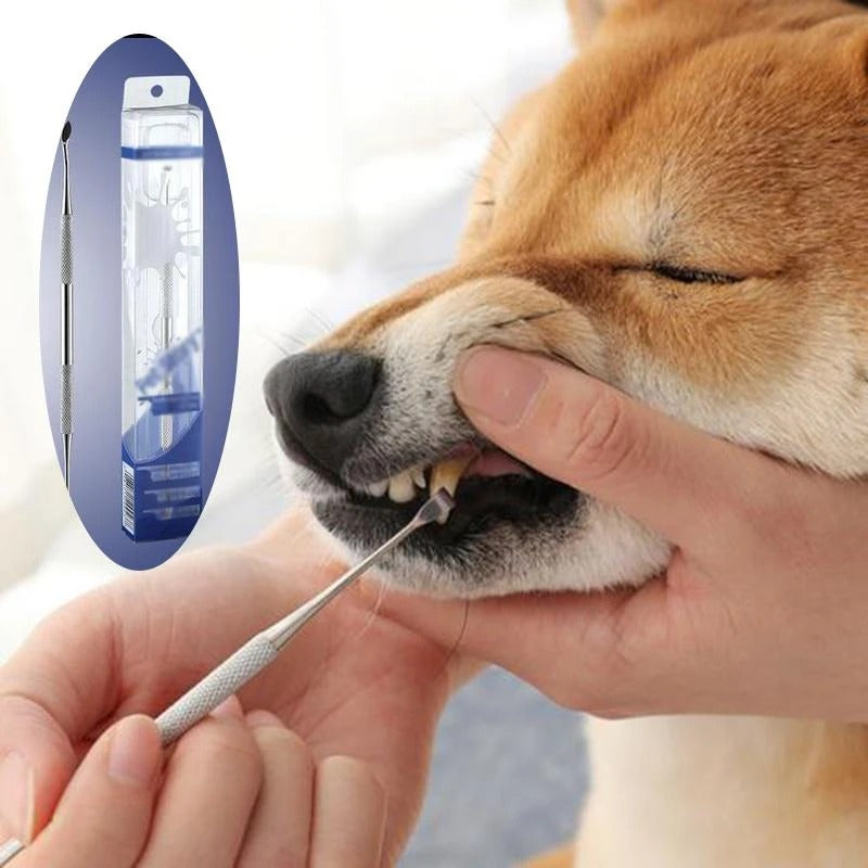 KFX-0521405 Pet Dental Care Tool - Stainless Steel Teeth Cleaning Pen for Tartar and Calculus Removal