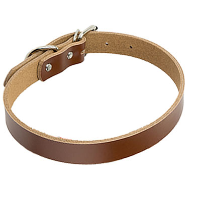 KFX-0521533 PU Leather Dog Collar and Chain - Red, Blue, Black, Pink, Brown, Sky Blue - Sizes XS to XL