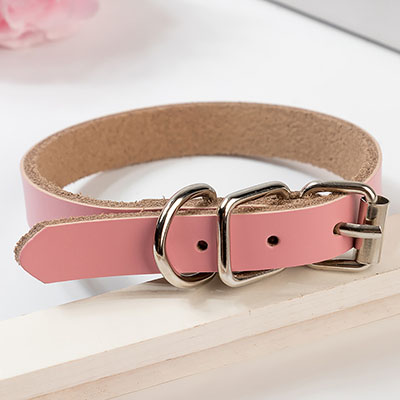 KFX-0521533 PU Leather Dog Collar and Chain - Red, Blue, Black, Pink, Brown, Sky Blue - Sizes XS to XL
