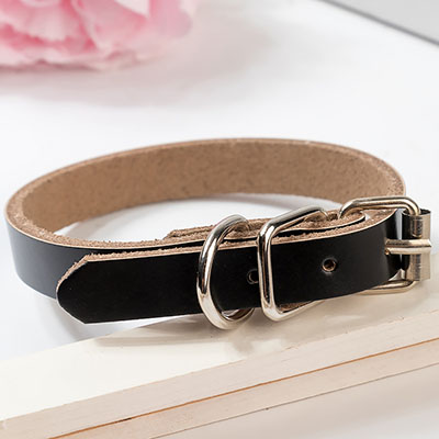 KFX-0521533 PU Leather Dog Collar and Chain - Red, Blue, Black, Pink, Brown, Sky Blue - Sizes XS to XL
