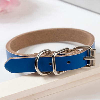 KFX-0521533 PU Leather Dog Collar and Chain - Red, Blue, Black, Pink, Brown, Sky Blue - Sizes XS to XL