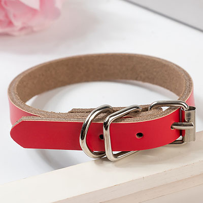 KFX-0521533 PU Leather Dog Collar and Chain - Red, Blue, Black, Pink, Brown, Sky Blue - Sizes XS to XL