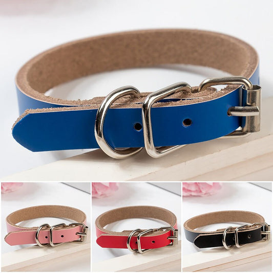 KFX-0521533 PU Leather Dog Collar and Chain - Red, Blue, Black, Pink, Brown, Sky Blue - Sizes XS to XL