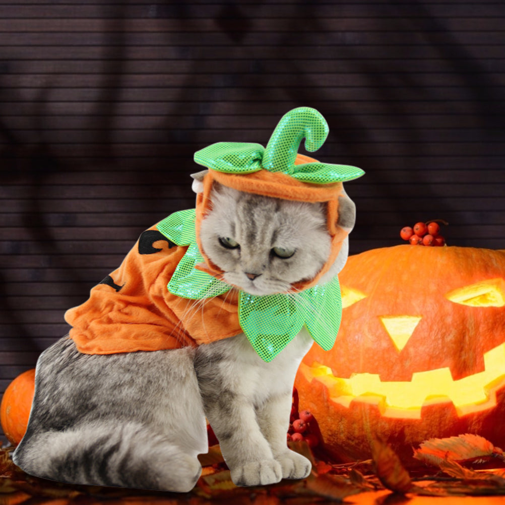 KFX-0523709 Pumpkin Costume Set for Pets with Adjustable Hat and Dress for Halloween