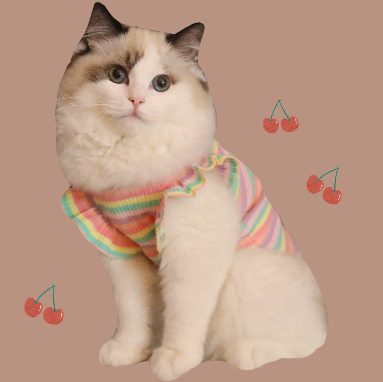 KFX-0526909 Breathable Cotton Rainbow Stripe T-Shirt for Small Dogs and Cats