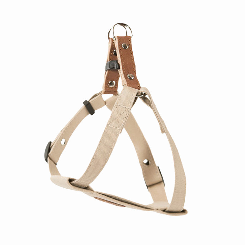 KFX-0528573 Soft Cotton Dog Leash in Light Blue and Beige for All Seasons