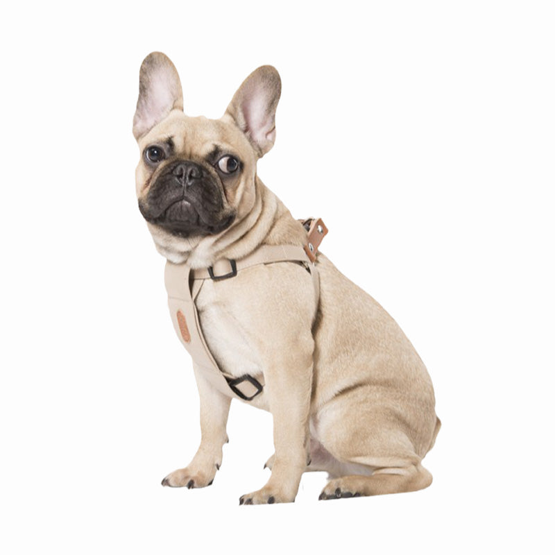 KFX-0528573 Soft Cotton Dog Leash in Light Blue and Beige for All Seasons