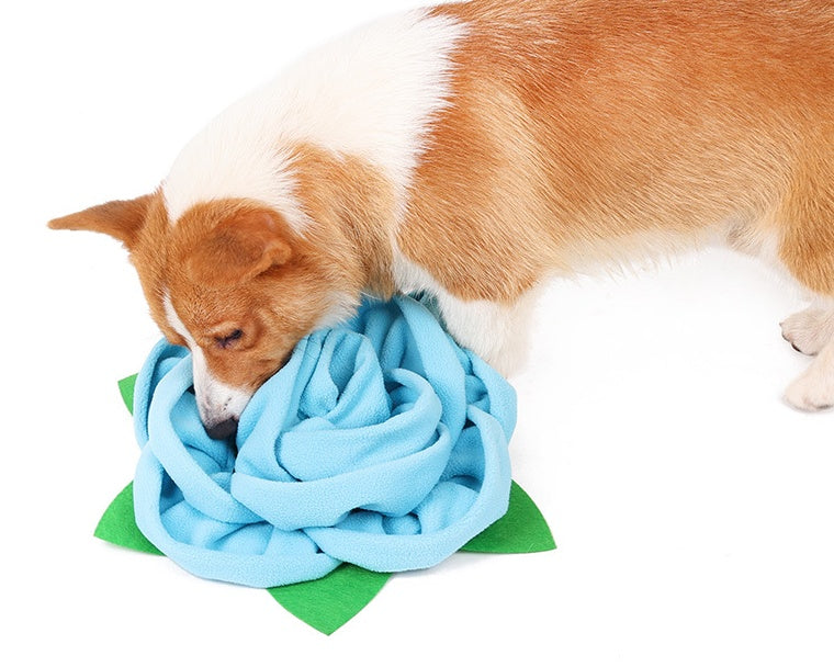 KFX-0535869 Rose Scented Polyester Chew Pad for Pet Food Training - 40 x 9 cm, Red Blue Off-White