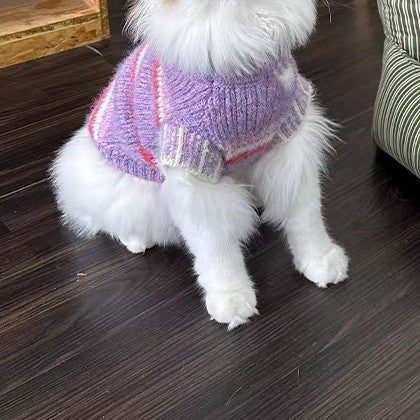 KFX-0545341 Warm Autumn and Winter Vest for Small Schnauzers and Cats in Green and Purple
