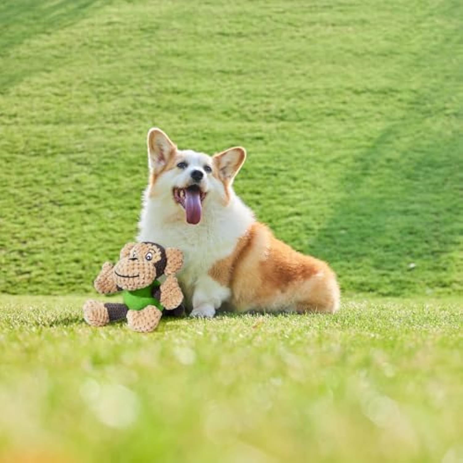 KFX-0548029 Squeaky Plush Monkey Dog Toy - Soft, Durable Chew Toy for Small to Medium Dogs, Ideal for Indoor and Outdoor Play