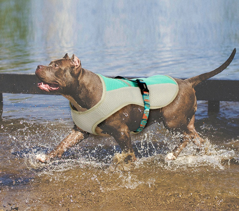 KFX-0550717 Cooling Vest for Dogs - Summer Heatproof Pet Clothing in Blue, Orange, Green, Sizes S-XL