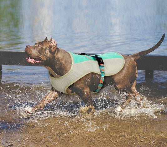 KFX-0550717 Cooling Vest for Dogs - Summer Heatproof Pet Clothing in Blue, Orange, Green, Sizes S-XL