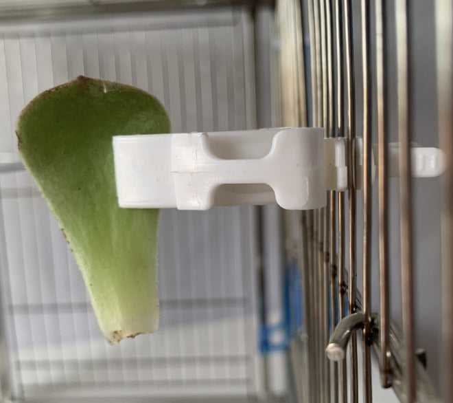 KFX-0552509 Parrot Fruit Basket and Vegetable Clips Feeder Set for Avian Nutrition