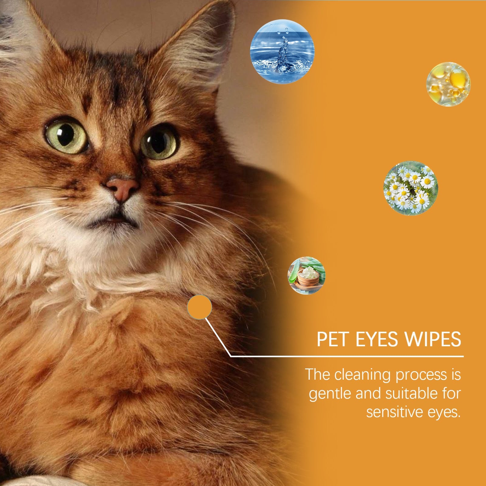 KFX-0559933 Pet Eye Cleaning Wipes for Dogs and Cats - 60 Count Tear Removal Wet Wipes