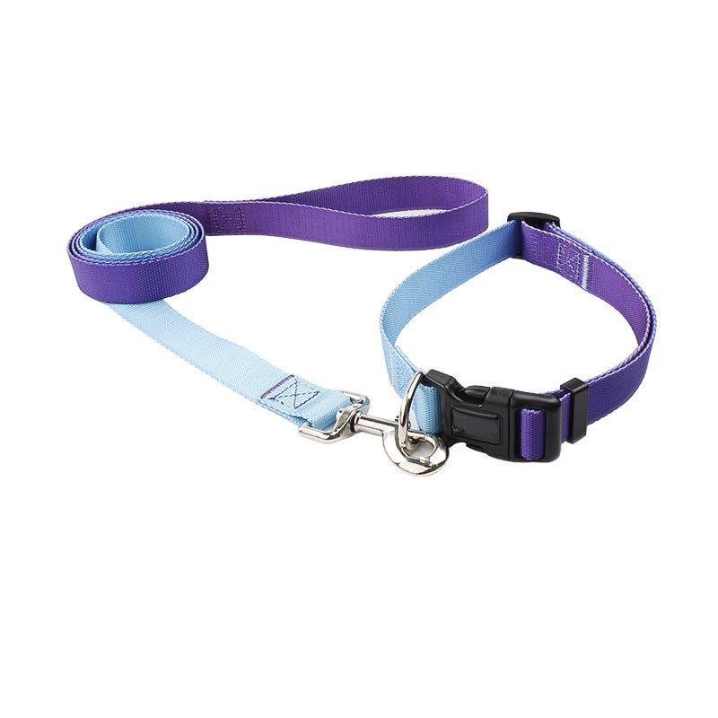 KFX-0561853 Nylon Pet Collar and Traction Rope Set in Vibrant Gradient Colors
