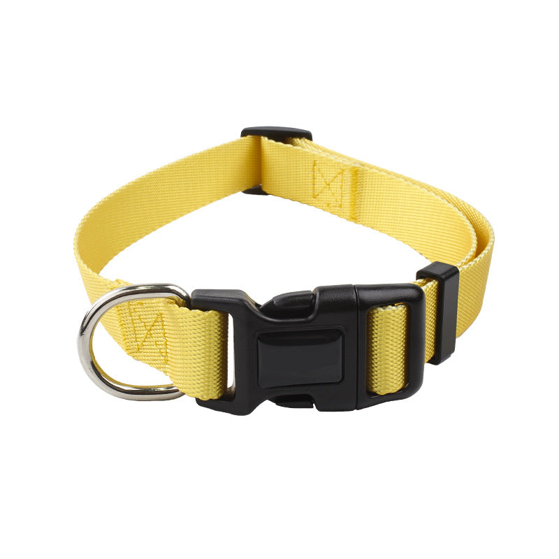 KFX-0561853 Nylon Pet Collar and Traction Rope Set in Vibrant Gradient Colors