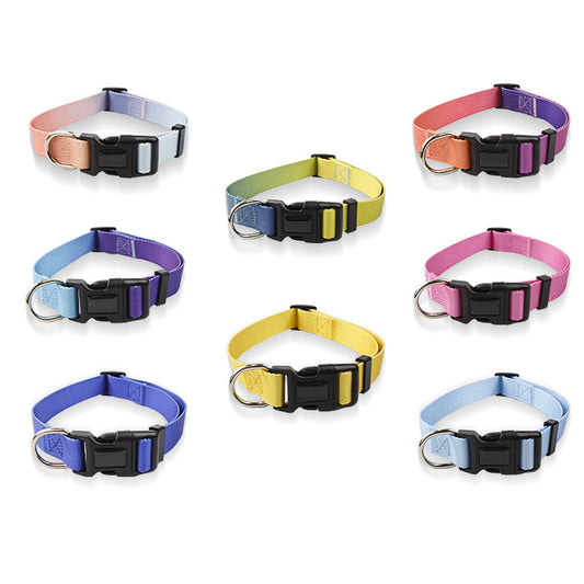 KFX-0561853 Nylon Pet Collar and Traction Rope Set in Vibrant Gradient Colors