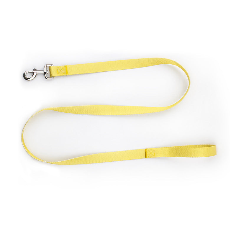 KFX-0561853 Nylon Pet Collar and Traction Rope Set in Vibrant Gradient Colors