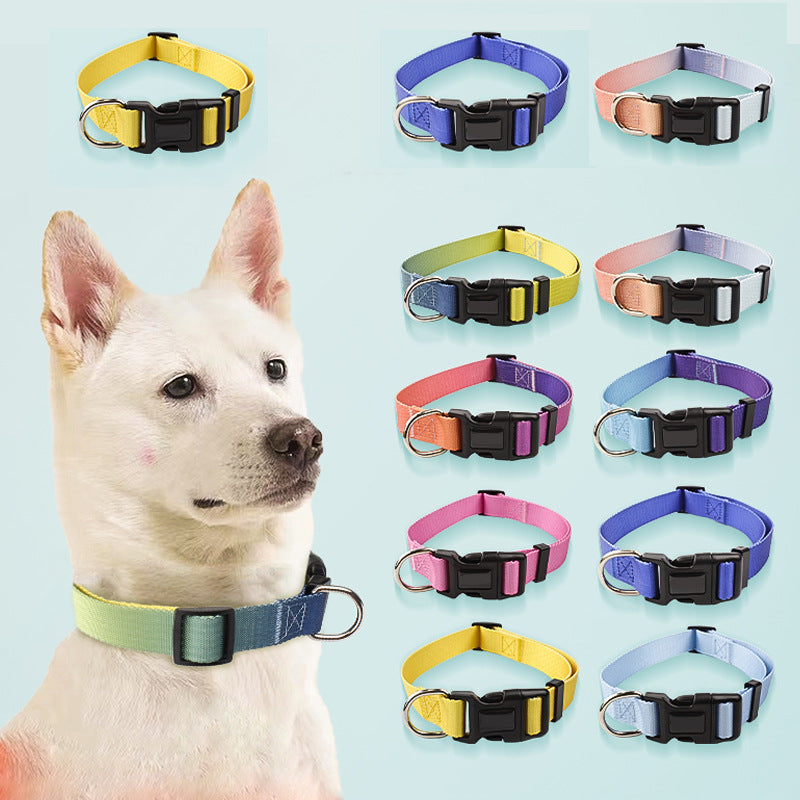 KFX-0561853 Nylon Pet Collar and Traction Rope Set in Vibrant Gradient Colors