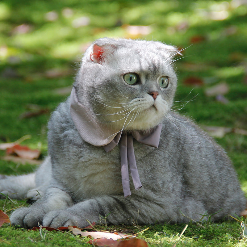 KFX-0565437 Charming Floral Bow Tie Collar for Pets in Green, Pink, and White