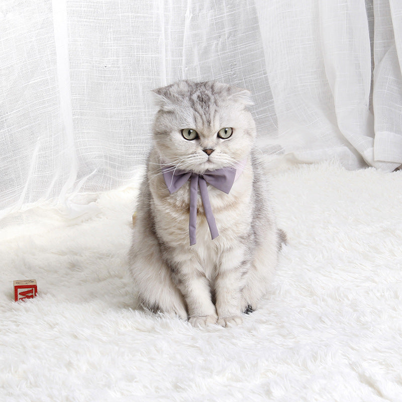 KFX-0565437 Charming Floral Bow Tie Collar for Pets in Green, Pink, and White