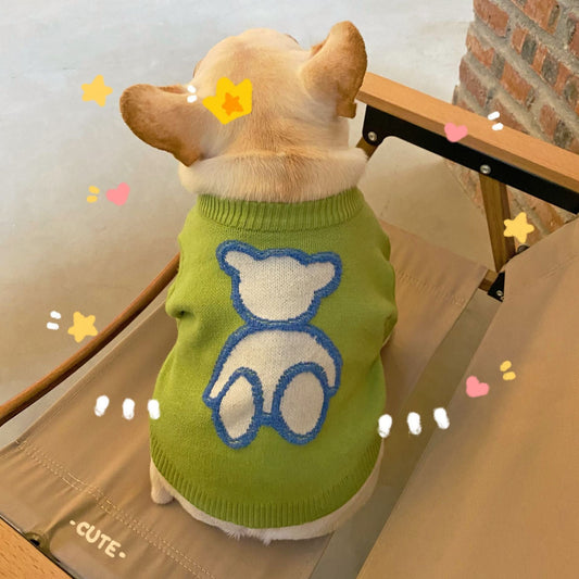KFX-0565821 Cozy Wool Sweater for Dogs and Cats in Green – Fall and Winter Apparel